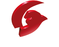 VisioNerf-Logo-BL